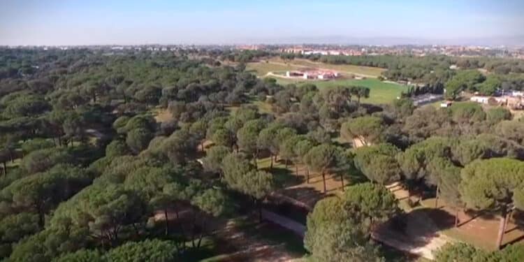 El PSOE de Majadahonda solicita que se active y actualice el modelo de gestión del Monte del Pilar