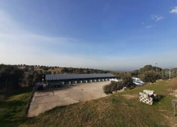 El CICAM impulsa las adopciones de perros y gatos en Majadahonda, superando las 10 mensuales