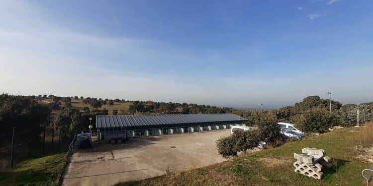 El CICAM impulsa las adopciones de perros y gatos en Majadahonda, superando las 10 mensuales