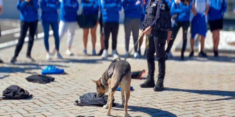 36 alumnos de 4º de la ESO ‘trabajan’ desde hoy con la Policía Local de Majadahonda para conocer su profesión