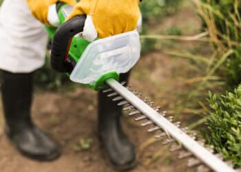 El Ayuntamiento pide la colaboración de los majariegos para minimizar el riesgo de incendios