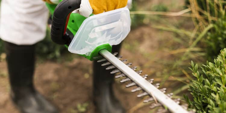 El Ayuntamiento pide la colaboración de los majariegos para minimizar el riesgo de incendios