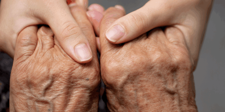 Majadahonda digitaliza su servicio municipal de teleasistencia e incrementa en más de un 40% sus dispositivos