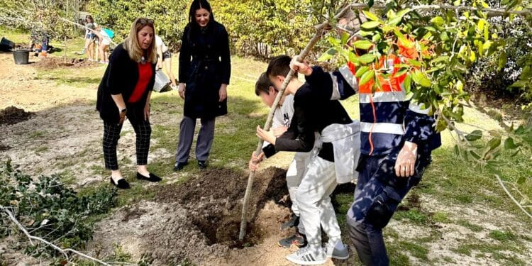 Escolares de Primaria plantan 50 nuevos árboles en los parques de ‘La Sacedilla’ y ‘Cuesta del Reventón’ de Majadahonda