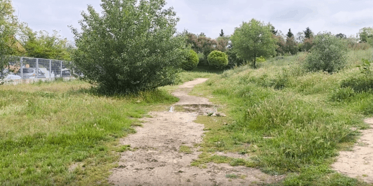 El PSOE de Majadahonda exige la mejora urgente del entorno del colegio Santa Catalina y el centro de salud Valle de la Oliva