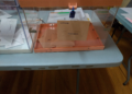 Urnas transparentes del Senado y del Congreso en un colegio electoral de Madrid